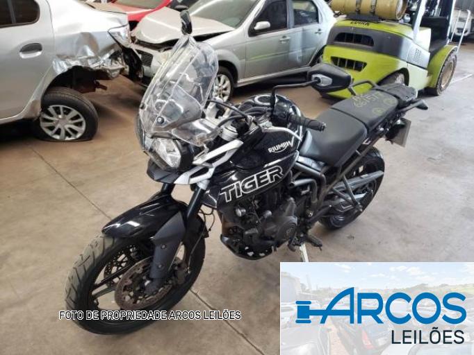 TRIUMPH TIGER 19/19
